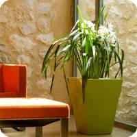 Macetas Vondom línea Lacado